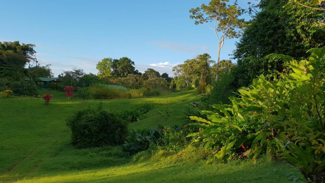Hotel Finca Maresia Drakes Bay Eksteriør billede